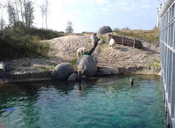 netherlands/drenthe/attraction/nortica