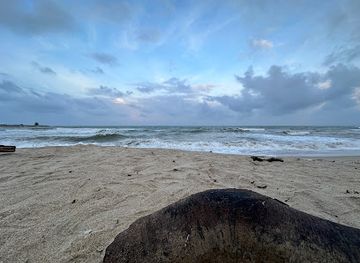 malaysia/terengganu/attraction/pantai-batu-burok