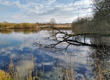 belgium/genk/attraction/het-wik