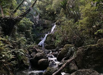 new-zealand/northland/attraction/waiotemarama-falls