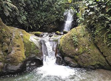 ecuador/quito/attraction/tarabita-mindo-a-las-cascadas