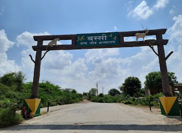 india/west-india/attraction/wildlife-sanctuary-bassi-chittorgarh