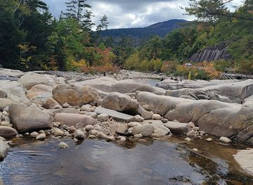 vermont/essex-county/attraction/white-mountain-national-forest