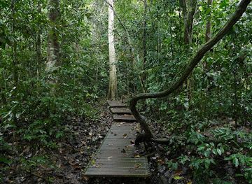malaysia/pahang/attraction/taman-negara-pahang-jungle-walking-path