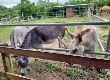 trinidad-and-tobago/chaguanas/attraction/samsara-nature-park