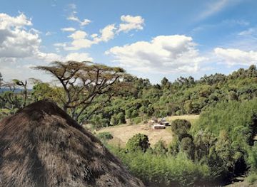 kenya/pokot-region/attraction/kapcherop-forest