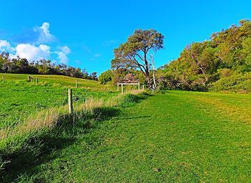 australia/mallee/attraction/big-drift