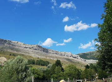 france/provence/attraction/wild-animal-park-valley