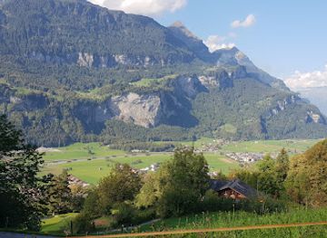 switzerland/bernese-oberland/attraction/wasserfall-alpbach