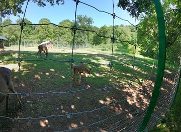 armenia/haghartsin-monastery/attraction/eghjerunerii-bazmacman-kentron