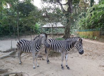 bangladesh/sylhet-division/attraction/wildlife-conservation-centre