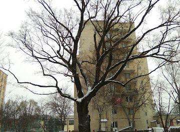 ukraine/ternopil/attraction/ternopil-oak