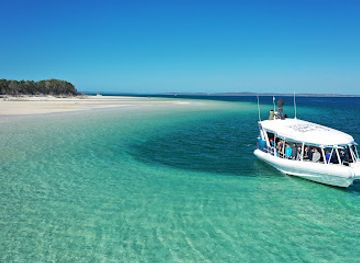 australia/fraser-coast/attraction/pacific-whale-foundation-australia