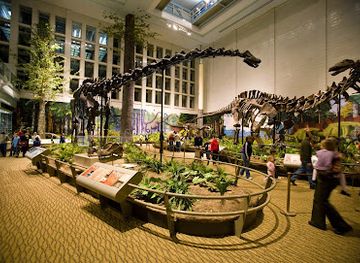 pennsylvania/pittsburgh/attraction/carnegie-museum-of-natural-history