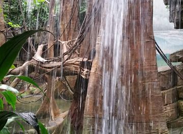 new-york/new-york-city/bronx/attraction/jungle-world