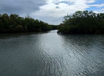 australia/cairns/attraction/mandingalbay-authentic-indigenous-tours