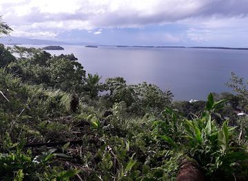 solomon-islands/uepi-island/attraction/marovo-island