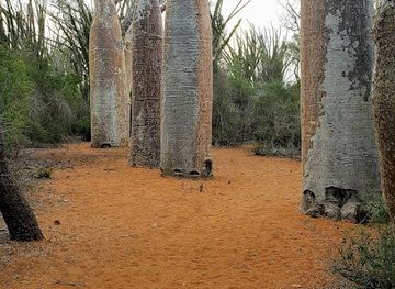 madagascar/atsimo-andrefana/attraction/parc-le-za