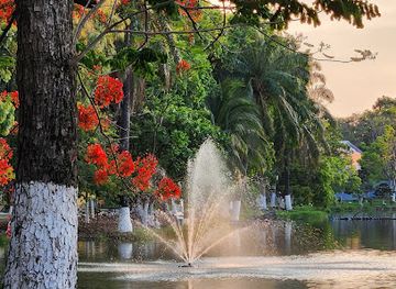 honduras/pico-bonito-national-park/attraction/el-estero