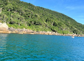 brazil/florianopolis/attraction/reserva-biologica-marinha-do-arvoredo