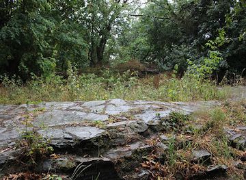 germany/taunus/attraction/burg-nurings