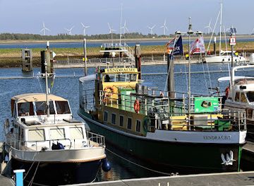 netherlands/zeeland/attraction/zeehondensafari