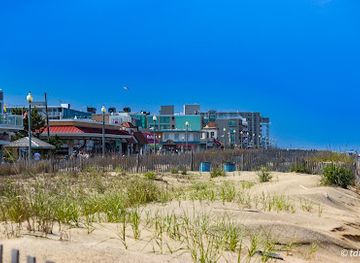 delaware/rehoboth-beach/attraction/rehoboth-beach-dewey-beach-visitors-center