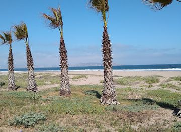 chile/la-serena/attraction/playa-4-esquinas