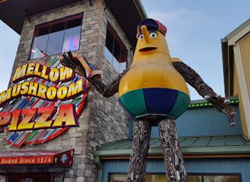 tennessee/pigeon-forge/attraction/island-mirror-maze