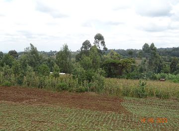 kenya/mount-elgon-national-park/attraction/view-point