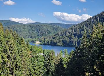 france/vosges-mountains/attraction/acro-sphere