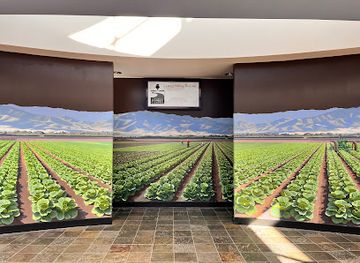 california/salinas-valley/attraction/national-steinbeck-center