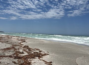 florida/sarasota-beaches/attraction/kayaking-srq