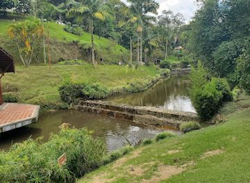 colombia/los-nevados-national-natural-park/attraction/vida-park