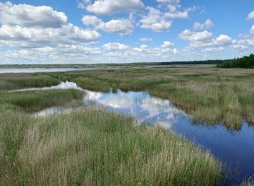 latvia/jurmala/attraction/birdwatching-tower-of-riekstusala