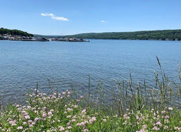 new-york/finger-lakes/attraction/red-jacket-park