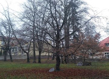 poland/czestochowa/attraction/buk-pielgrzym