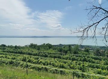 hungary/zalaegerszeg/attraction/badacsony