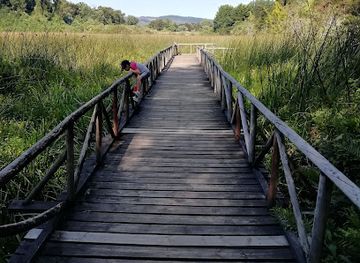chile/valdivia/attraction/parque-urbano-el-bosque
