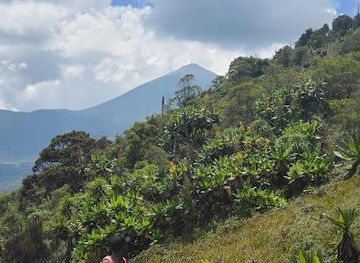 rwanda/ruhengeri/attraction/bisoke-hike-volcanoes-national-park