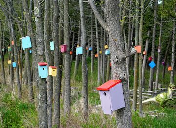 vermont/orange-county/attraction/bird-house-forest