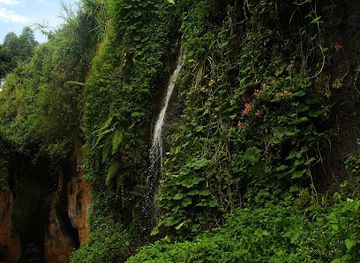 kenya/mount-elgon-national-park/attraction/buginyanya-lusha-gorge