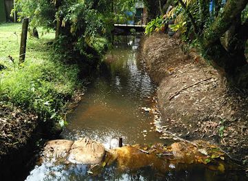 costa-rica/sarapiqui/attraction/costa-rica-best-chocolate