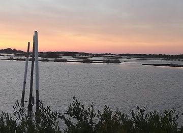 florida/cedar-key/attraction/cedar-key-scrub-wildlife-management-area