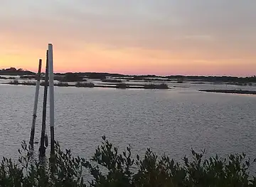 Cedar Key Scrub Wildlife Management Area