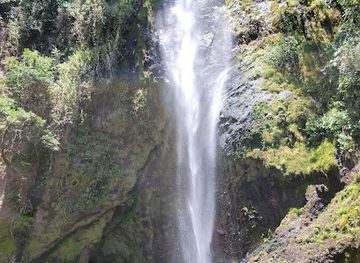 costa-rica/playa-flamingo/attraction/viento-fresco-waterfall