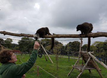 ireland/county-wexford/attraction/secret-valley-wildlife-park