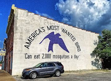 illinois/great-river-road/attraction/purple-martin-highrise-of-the-purple-martin-capital-of-the-nation