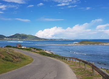 sint-maarten/dutch-quarter/attraction/the-butterfly-farm