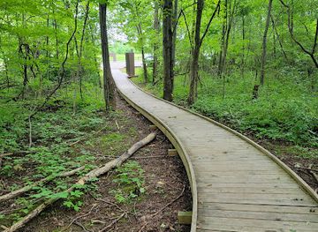 ohio/western-reserve/attraction/fowler-woods-state-nature-preserve